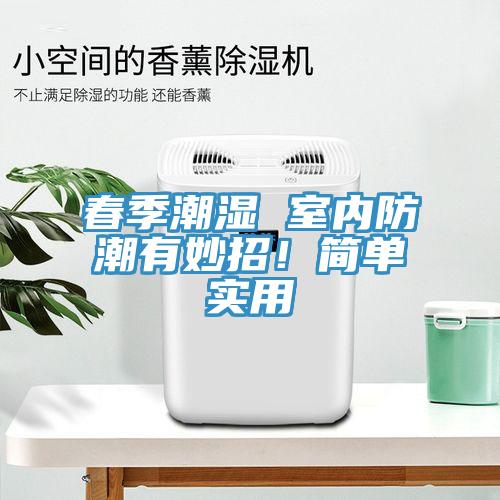 春季潮濕 室內(nèi)防潮有妙招！簡單實用