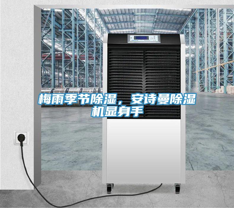 梅雨季節(jié)除濕，安詩曼除濕機顯身手
