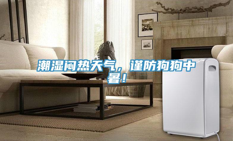 潮濕悶熱天氣，謹防狗狗中暑！