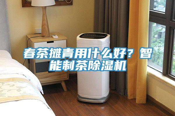 春茶攤青用什么好？智能制茶除濕機