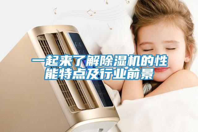 一起來了解除濕機(jī)的性能特點(diǎn)及行業(yè)前景