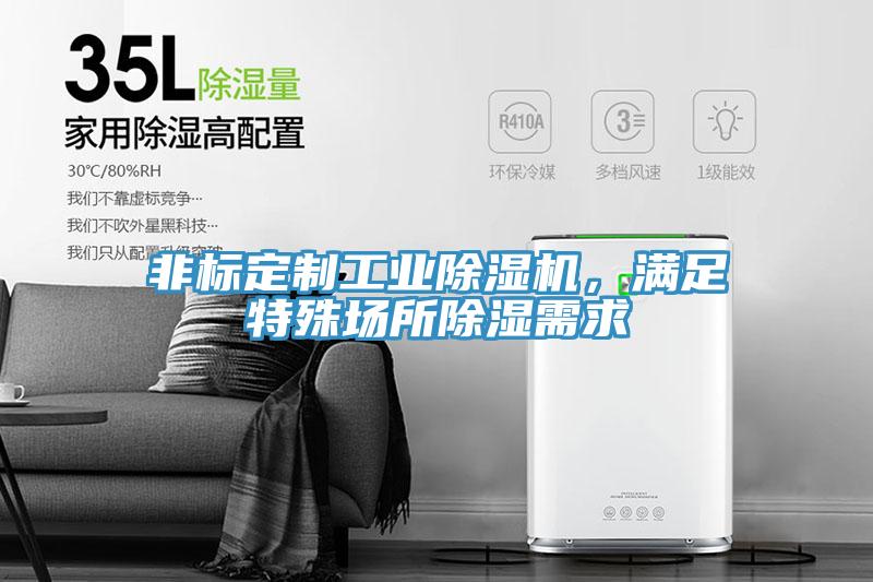 非標(biāo)定制工業(yè)除濕機(jī)，滿(mǎn)足特殊場(chǎng)所除濕需求