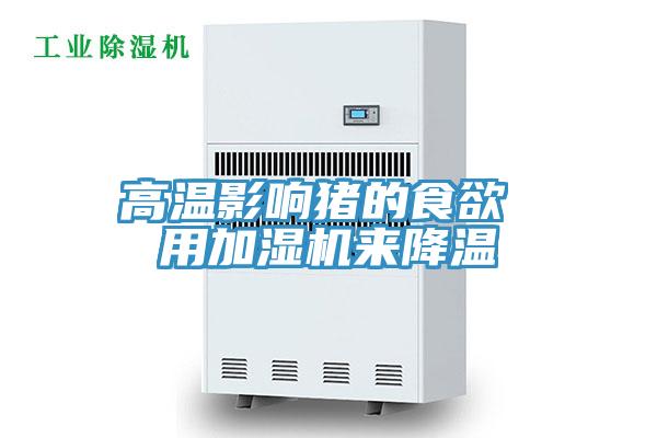 高溫影響豬的食欲 用加濕機(jī)來(lái)降溫