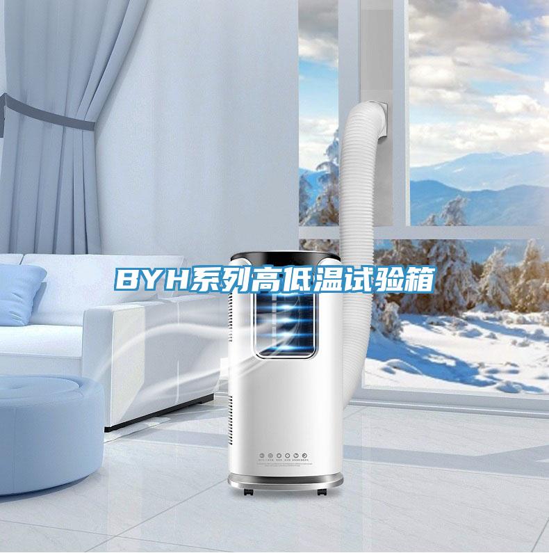 BYH系列高低溫試驗(yàn)箱