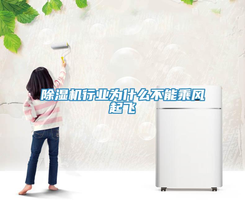 除濕機行業(yè)為什么不能乘風(fēng)起飛