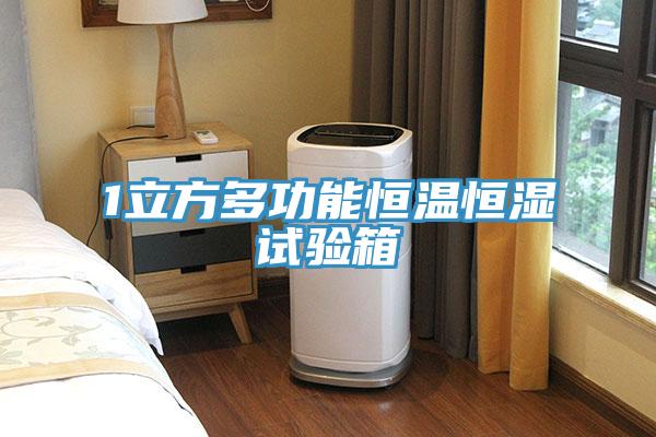 1立方多功能恒溫恒濕試驗(yàn)箱