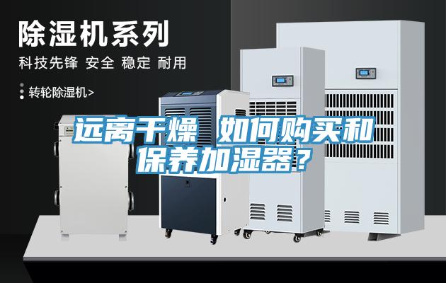 遠離干燥 如何購買和保養(yǎng)加濕器？