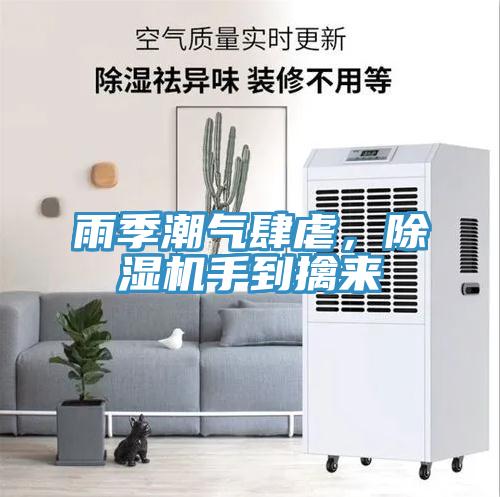 雨季潮氣肆虐，除濕機(jī)手到擒來