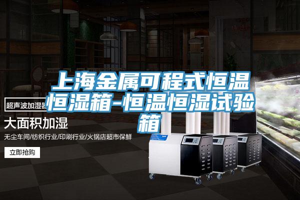 上海金屬可程式恒溫恒濕箱-恒溫恒濕試驗(yàn)箱