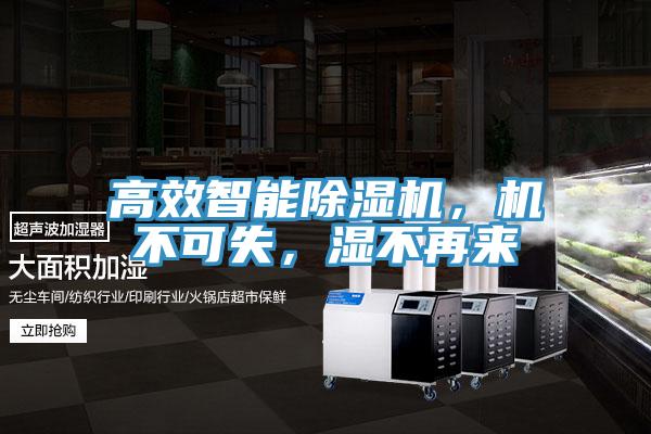 高效智能除濕機，機不可失，濕不再來