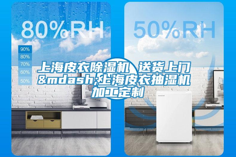 上海皮衣除濕機(jī) 送貨上門 —上海皮衣抽濕機(jī) 加工定制