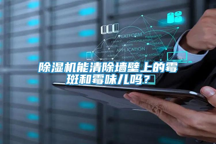 除濕機(jī)能清除墻壁上的霉斑和霉味兒?jiǎn)幔?></div>
								<div   id=