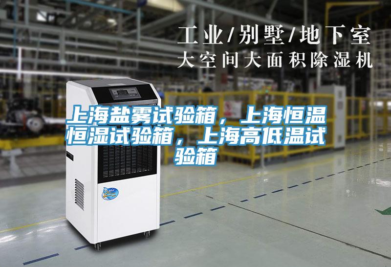 上海鹽霧試驗(yàn)箱，上海恒溫恒濕試驗(yàn)箱，上海高低溫試驗(yàn)箱