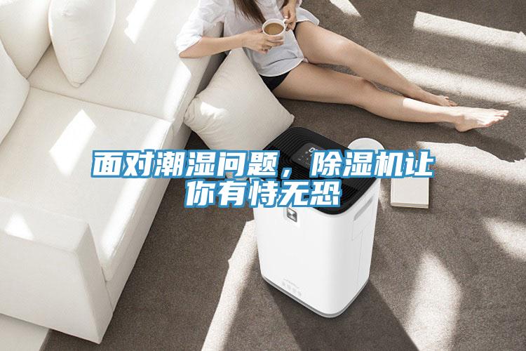 面對(duì)潮濕問(wèn)題，除濕機(jī)讓你有恃無(wú)恐
