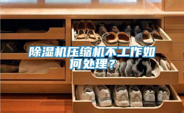 除濕機壓縮機不工作如何處理？