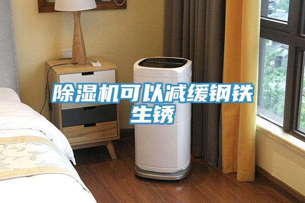 除濕機(jī)可以減緩鋼鐵生銹