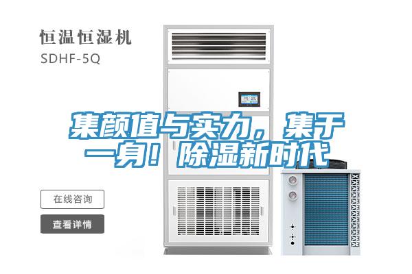 集顏值與實(shí)力，集于一身！除濕新時代
