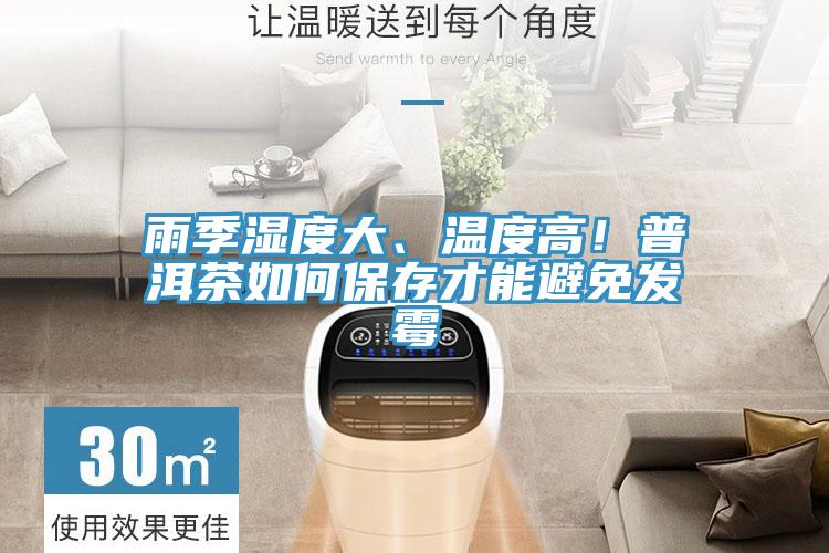 雨季濕度大、溫度高！普洱茶如何保存才能避免發(fā)霉