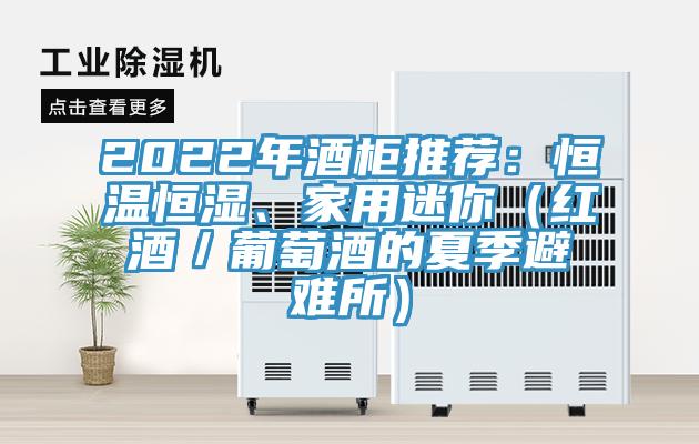 2022年酒柜推薦：恒溫恒濕、家用迷你（紅酒／葡萄酒的夏季避難所）