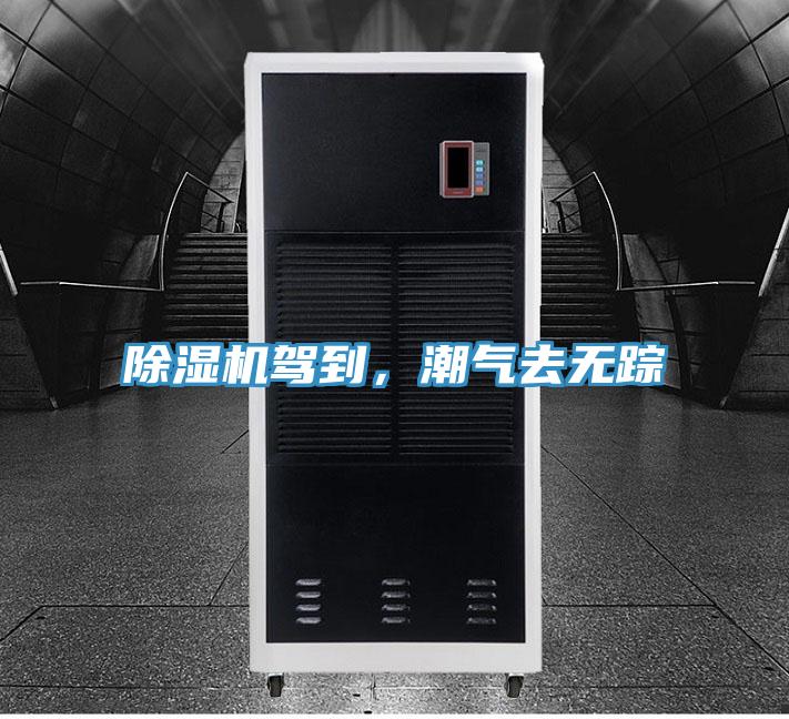 除濕機(jī)駕到，潮氣去無蹤