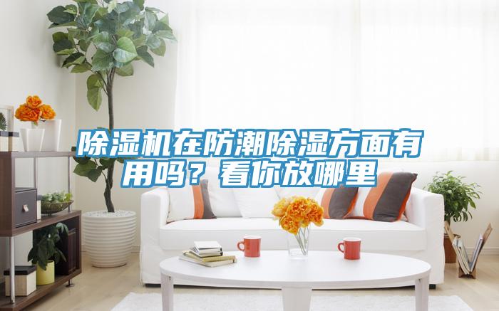 除濕機在防潮除濕方面有用嗎？看你放哪里
