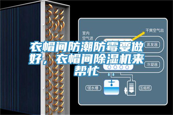 衣帽間防潮防霉要做好，衣帽間除濕機(jī)來(lái)幫忙