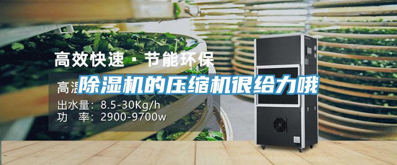除濕機的壓縮機很給力哦