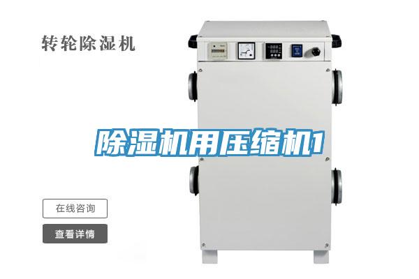 除濕機(jī)用壓縮機(jī)1