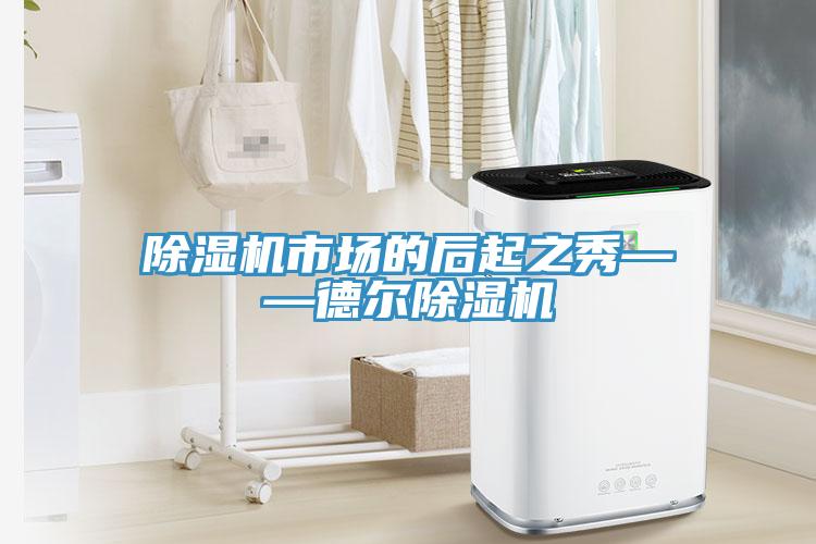除濕機(jī)市場(chǎng)的后起之秀——德爾除濕機(jī)