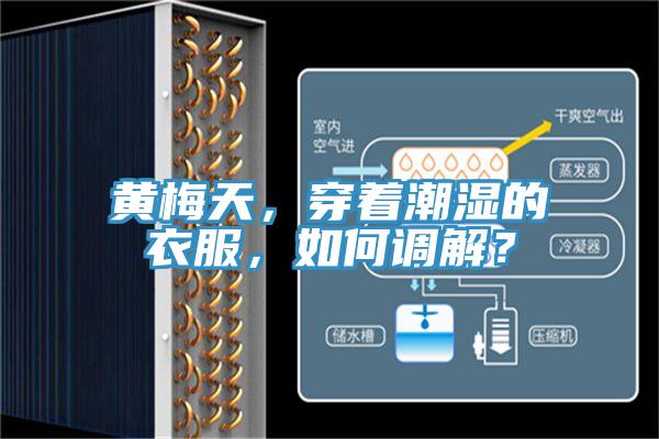 黃梅天，穿著潮濕的衣服，如何調(diào)解？