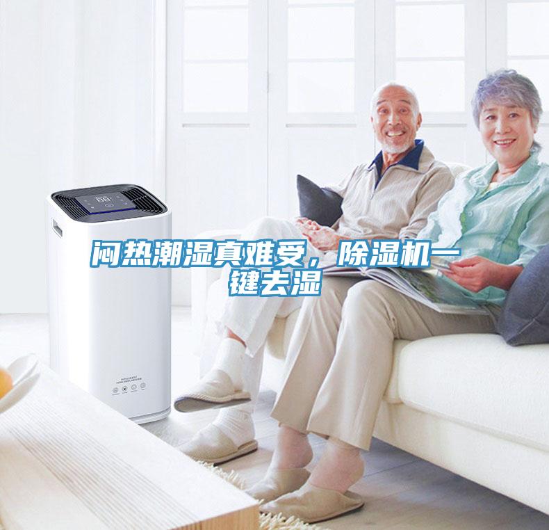 悶熱潮濕真難受，除濕機(jī)一鍵去濕
