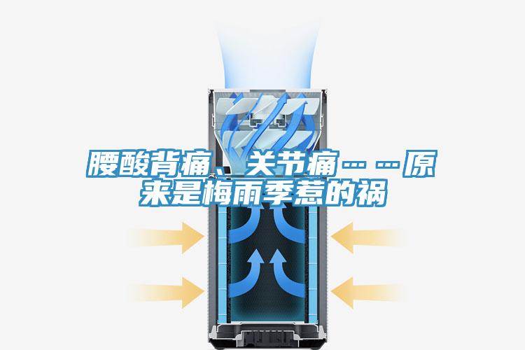 腰酸背痛、關(guān)節(jié)痛……原來是梅雨季惹的禍