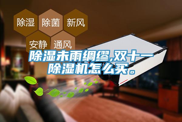 除濕未雨綢繆,雙十一除濕機(jī)怎么買。