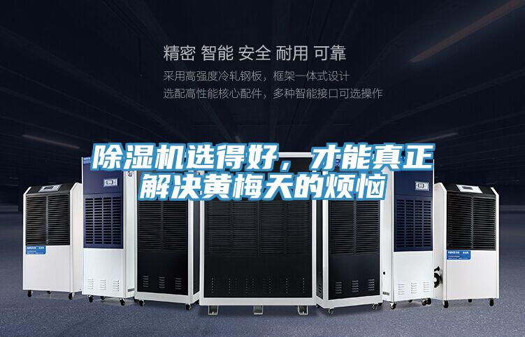 除濕機(jī)選得好，才能真正解決黃梅天的煩惱