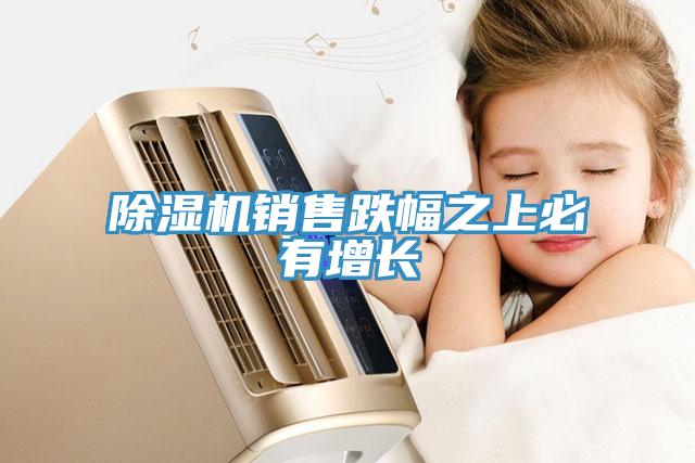 除濕機(jī)銷售跌幅之上必有增長