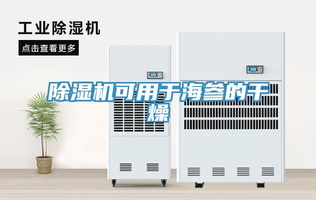 除濕機(jī)可用于海參的干燥