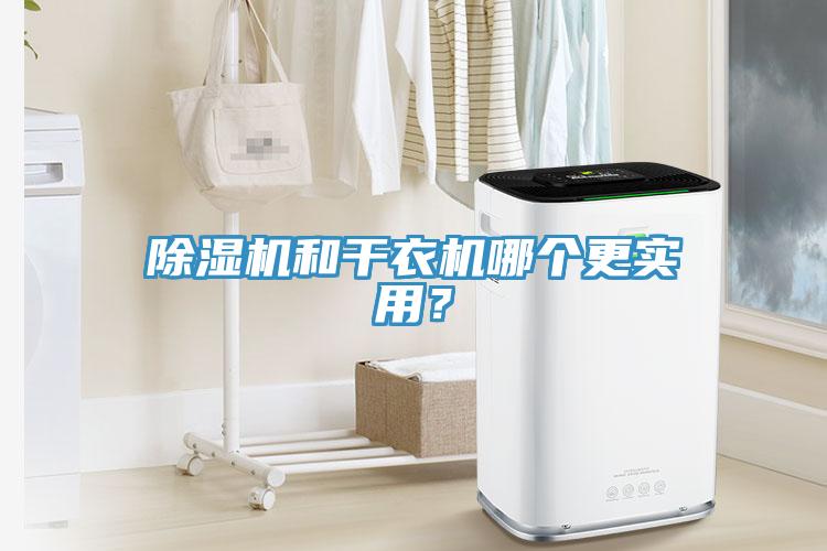 除濕機(jī)和干衣機(jī)哪個(gè)更實(shí)用？