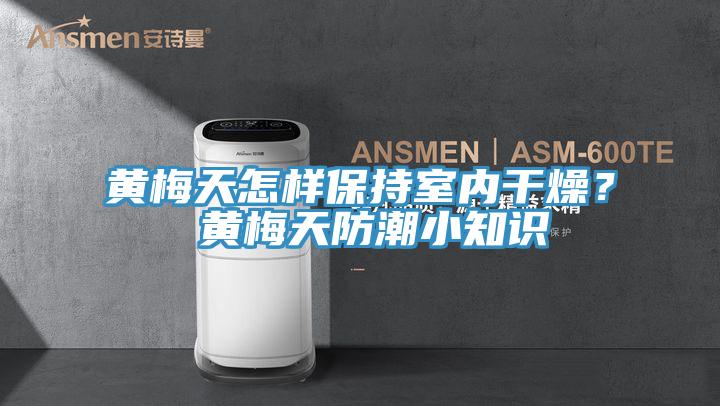黃梅天怎樣保持室內(nèi)干燥？ 黃梅天防潮小知識(shí)