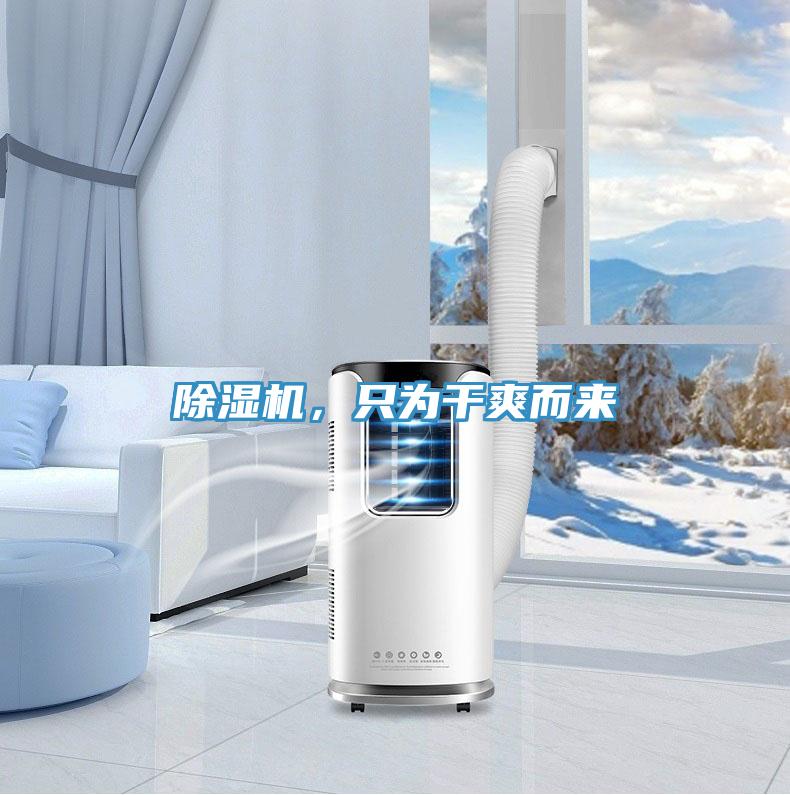 除濕機(jī)，只為干爽而來