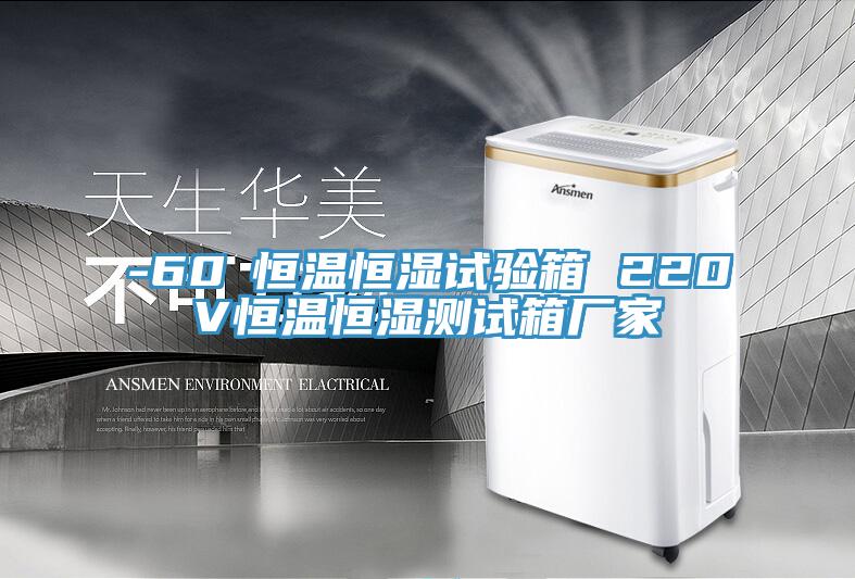 -60℃恒溫恒濕試驗(yàn)箱 220V恒溫恒濕測(cè)試箱廠家