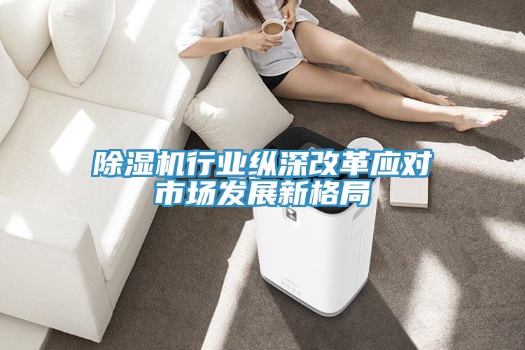 除濕機行業(yè)縱深改革應(yīng)對市場發(fā)展新格局