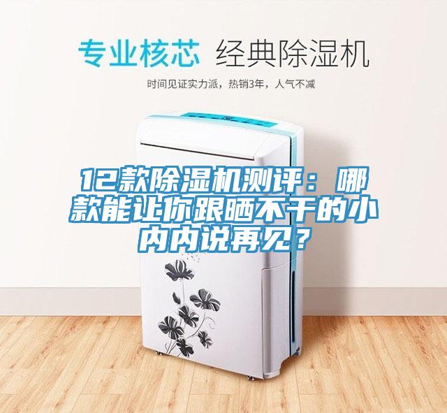 12款除濕機(jī)測評：哪款能讓你跟曬不干的小內(nèi)內(nèi)說再見？