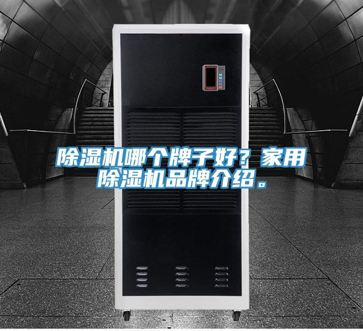 除濕機哪個牌子好？家用除濕機品牌介紹。