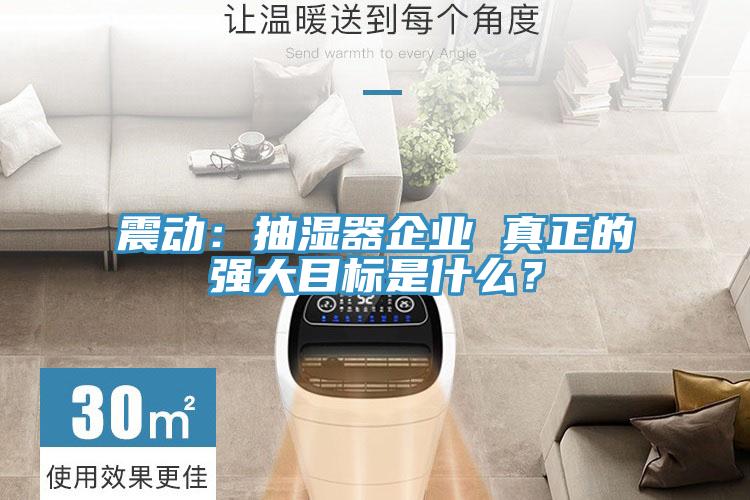 震動：抽濕器企業(yè) 真正的強大目標是什么？