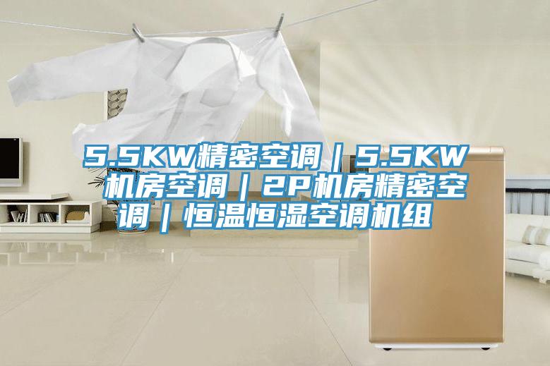 5.5KW精密空調(diào)｜5.5KW 機房空調(diào)｜2P機房精密空調(diào)｜恒溫恒濕空調(diào)機組