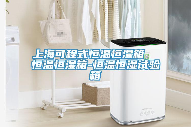 上海可程式恒溫恒濕箱  恒溫恒濕箱-恒溫恒濕試驗箱