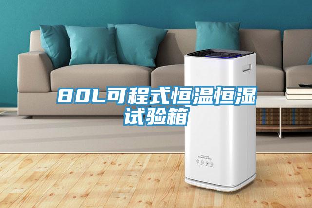 80L可程式恒溫恒濕試驗箱