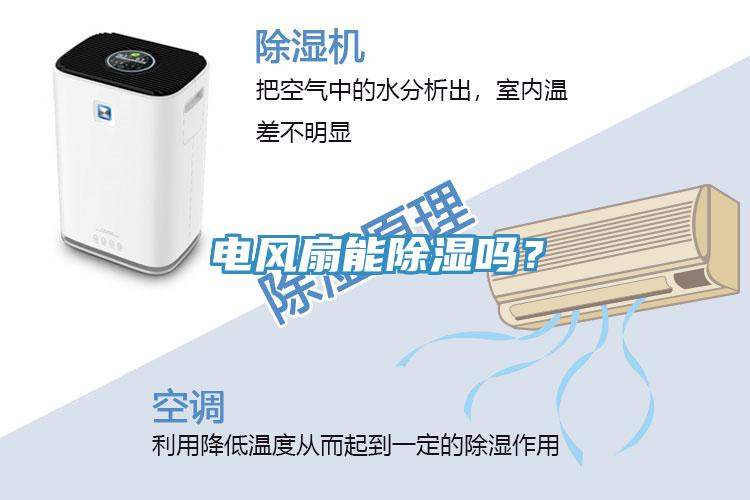 電風(fēng)扇能除濕嗎？