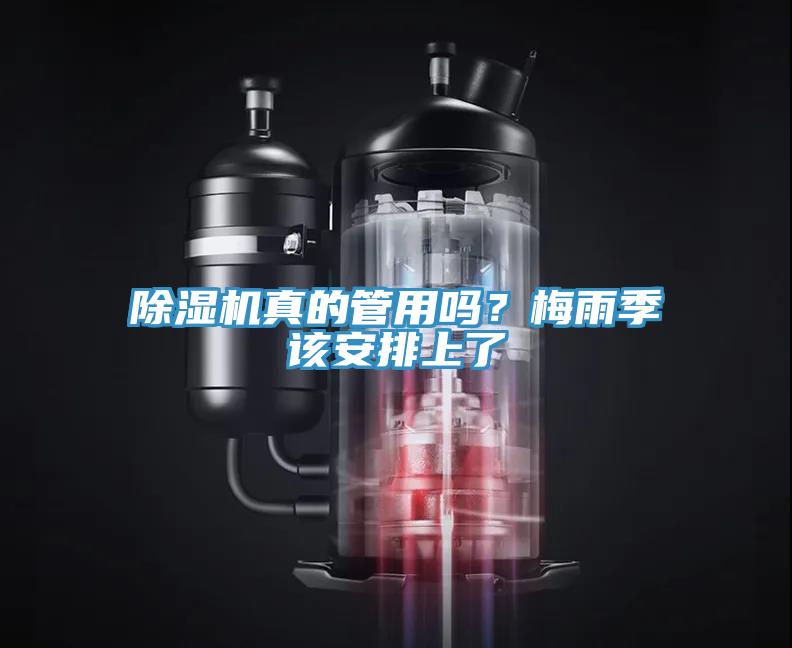 除濕機(jī)真的管用嗎？梅雨季該安排上了