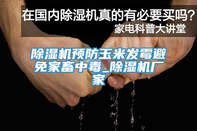 除濕機預(yù)防玉米發(fā)霉避免家畜中毒_除濕機廠家